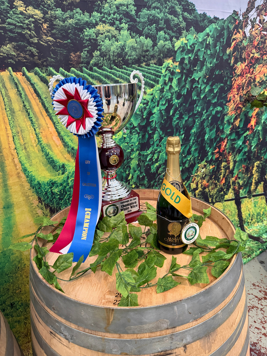 2025 Calistoga Ag Fair – FOUR Gold Medals