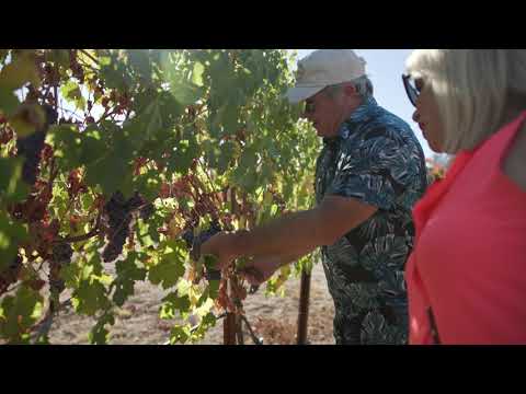 2018<br>Pinot Noir <br>(Mendocino)